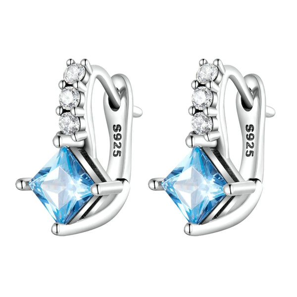  Delicate Blue Zirconium Earrings-AstersJewelry